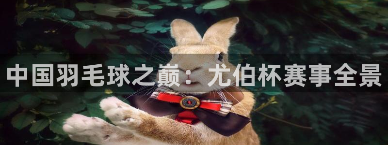 中国羽毛球之巅：尤伯杯赛事全景