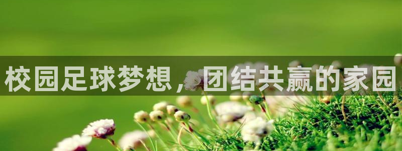 校园足球梦想，团结共赢的家园