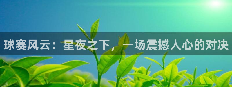 中欧体育登录入口网页版平台下载：球赛风云：星夜之下，一场震撼