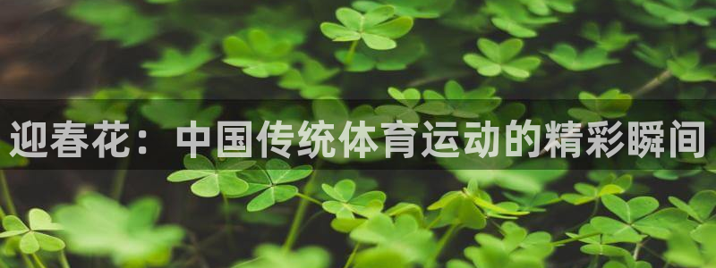 中欧体育精简版app：迎春花：中国传统体育运动的精彩瞬间