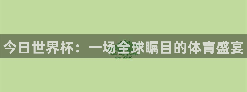 中欧体育平台优势分析：今日世界杯：一场全球瞩目的体育盛宴