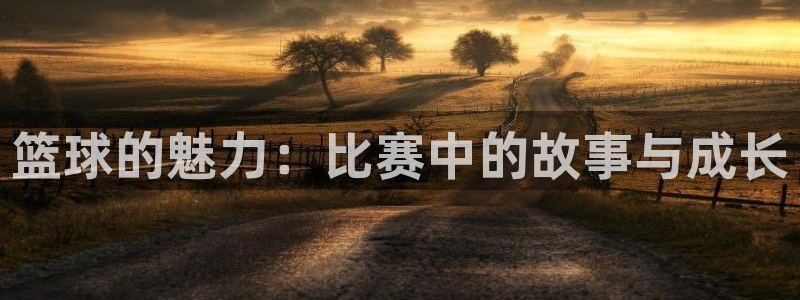 中欧体育平台官网网址：篮球的魅力：比赛中的故事与成长