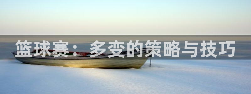 中欧体育平台优势分析：篮球赛：多变的策略与技巧