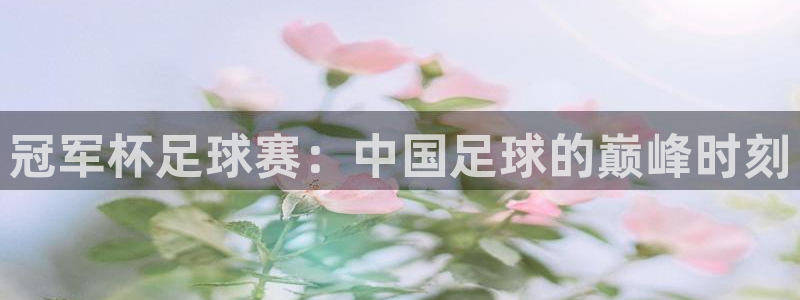 中欧体育登陆入口网址：冠军杯足球赛：中国足球的巅峰时刻